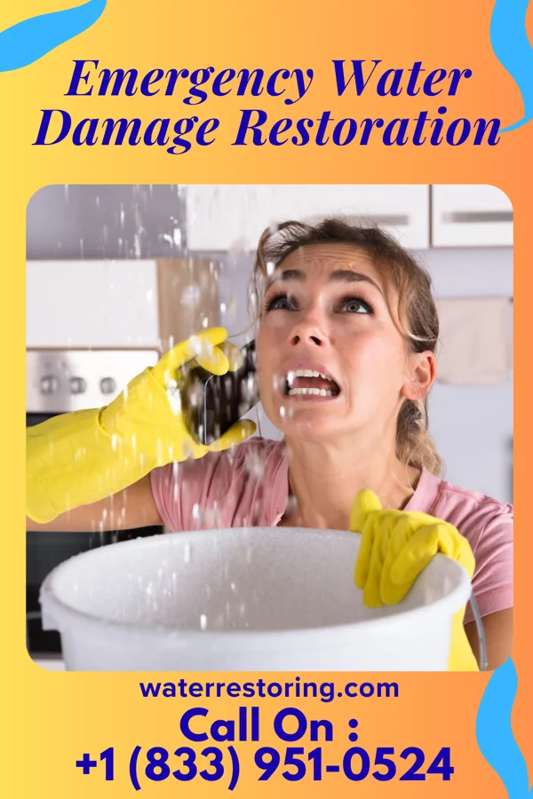 Emergency Water Damage Restoration in Harrisville, PA