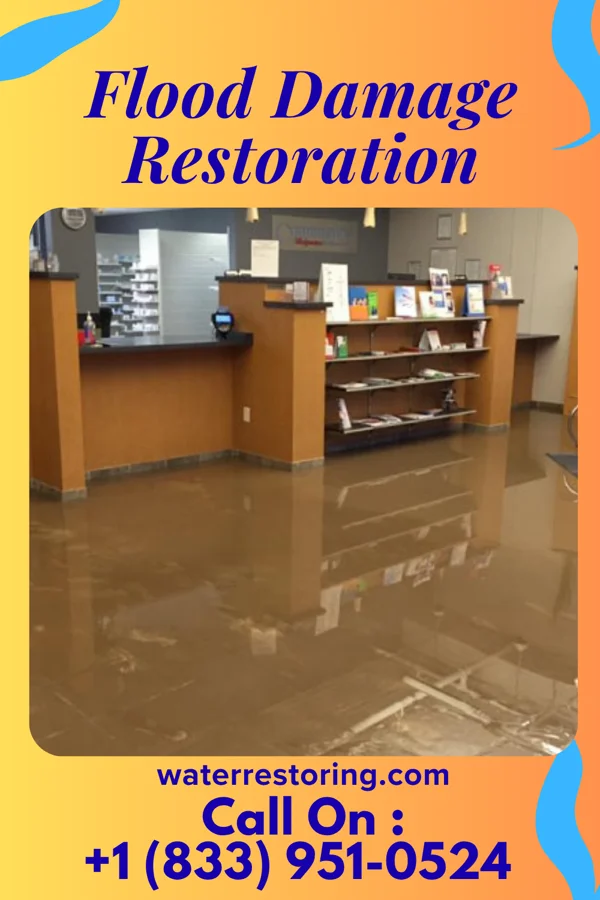 Flood Damage Restoration in Harrisville, PA