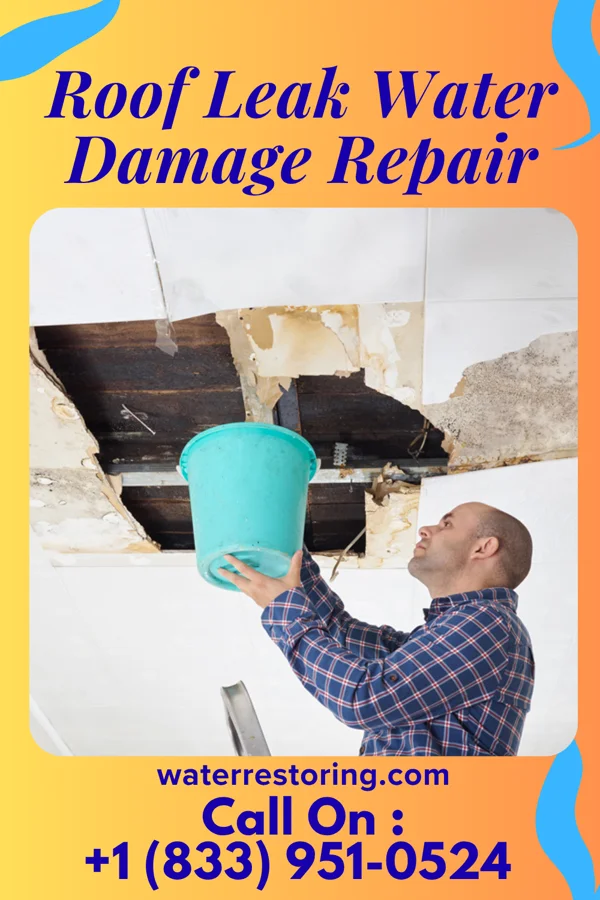 Roof Leak Water Damage Repair in Harrisville, PA